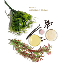 Load image into Gallery viewer, Geneo Glo2 Treatment - Geneo X