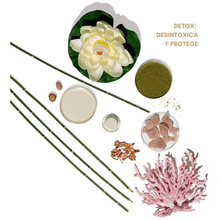 Load image into Gallery viewer, Geneo Glo2 Treatment - Geneo X