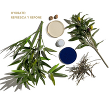 Load image into Gallery viewer, Geneo Glo2 Treatment - Geneo X